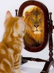 Leadership mirror