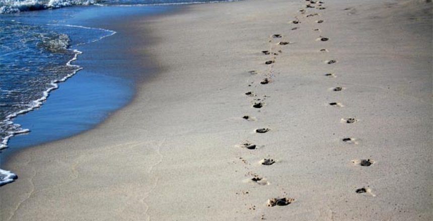 footprints featured